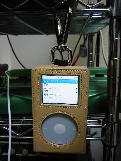 ipod+prie_hook.JPG